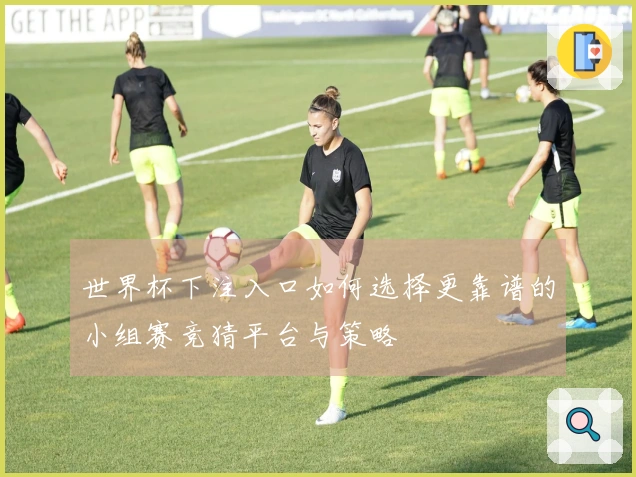 世界杯下注入口如何选择更靠谱的小组赛竞猜平台与策略