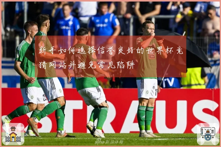 新手如何选择信誉良好的世界杯竞猜网站并避免常见陷阱